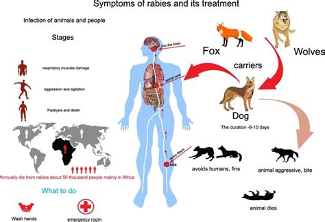 19 rubias|An Overview of rubias Usage .